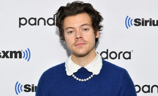 Bertemu di Pesawat, Seorang Netizen Beberkan Fakta Menarik Soal Harry Styles