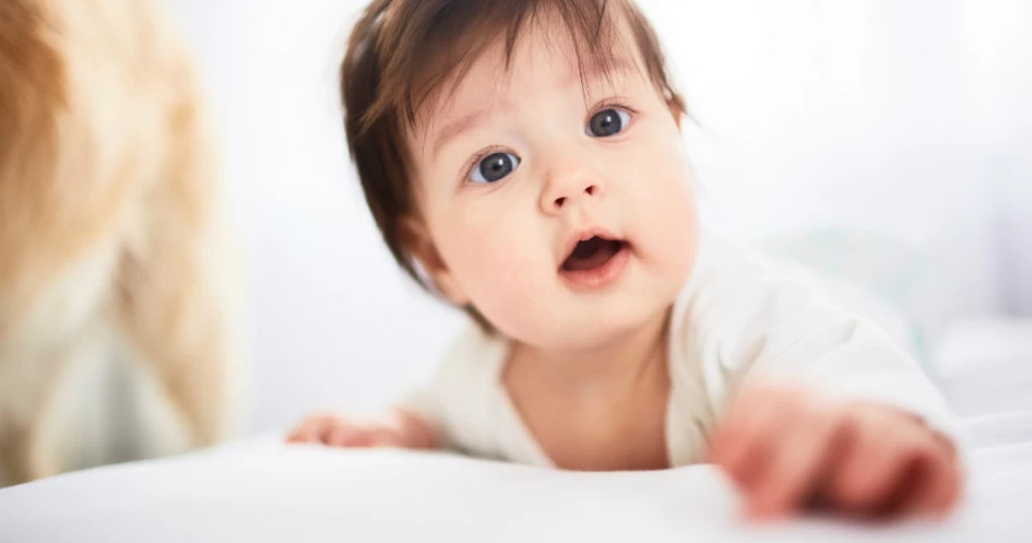 Wajib Tahu! Ini Penyebab dan Gejala Fimosis pada Bayi